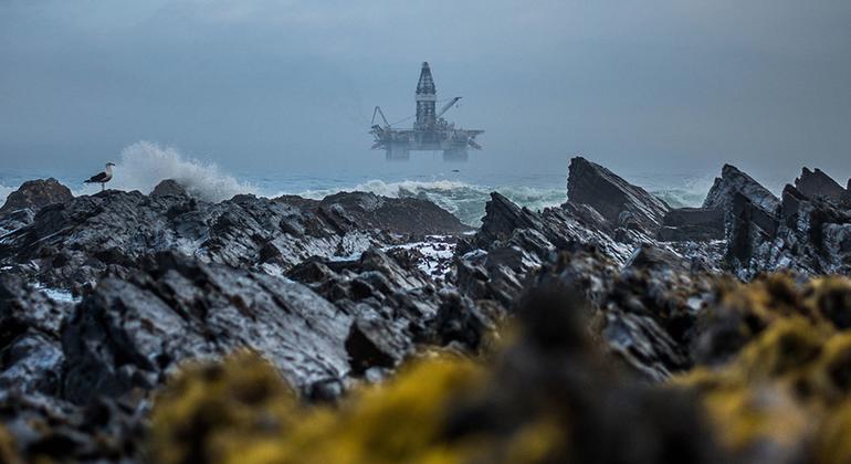 media:entermedia_image:0832703e-8ed8-4739-8d39-c146b83b1039